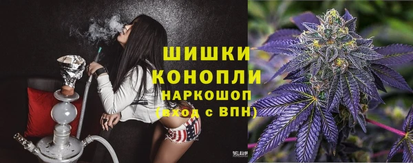 соль ск Бородино